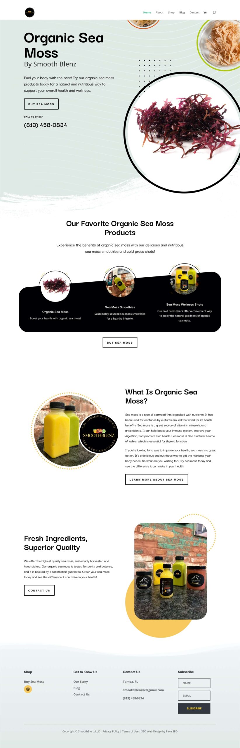 Smooth Blenz Website Smooth Blenz SEO Web Design